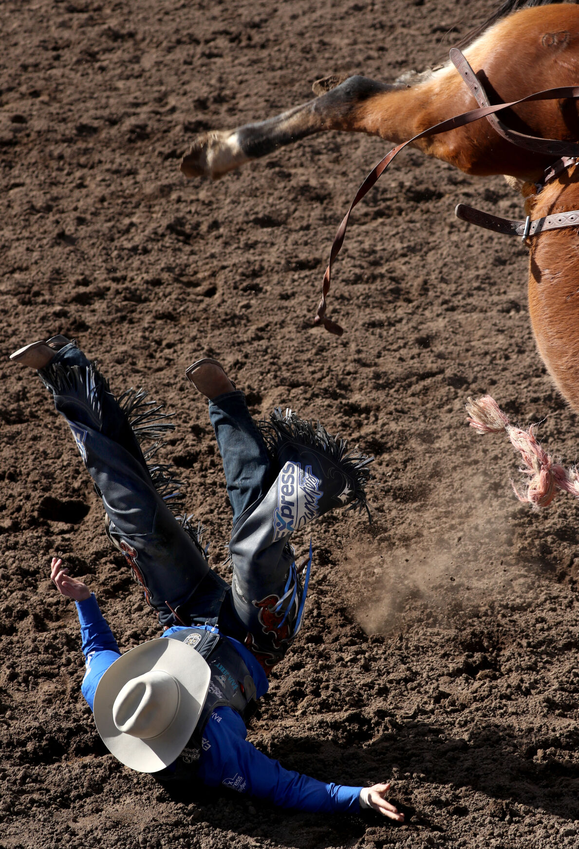 Fiesta de los Vaqueros Tucson Rodeo